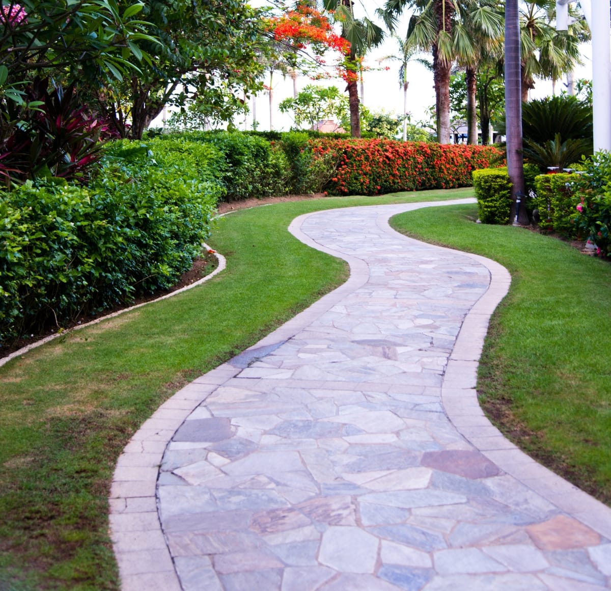 Gama Landscaping professional yard and tree service in Phoenix AZ
